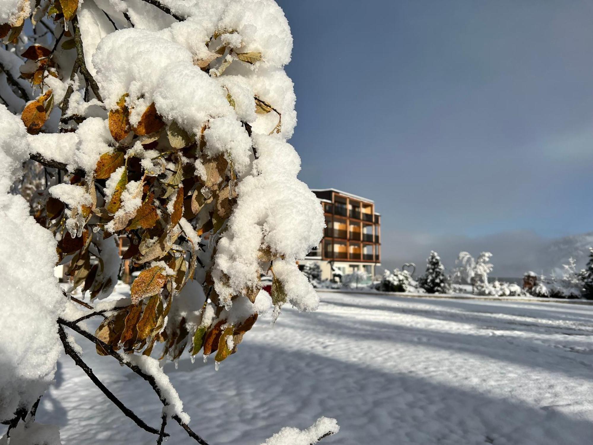 Hotel Lech Da Sompunt Бадия Экстерьер фото